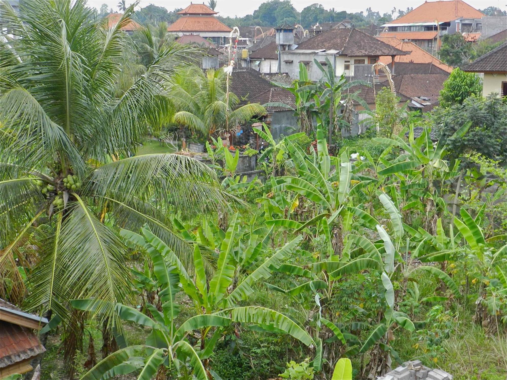 Kori Bali Inn I Ubud  Ngoại thất bức ảnh