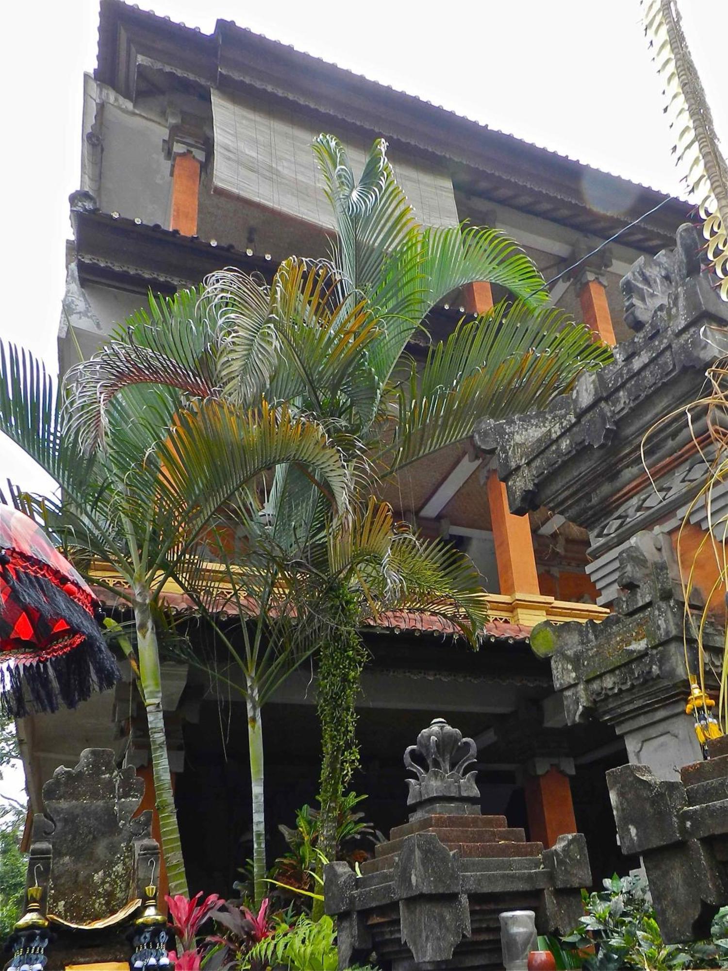 Kori Bali Inn I Ubud  Ngoại thất bức ảnh